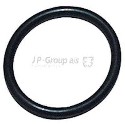 JP GROUP Уплотнительное кольцо, резьбовая пробка маслосливн 1213850300
